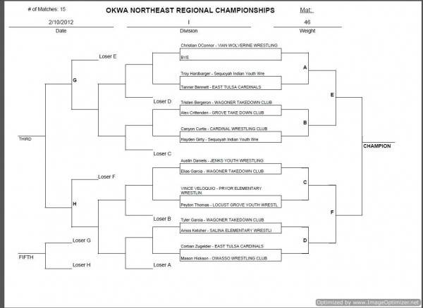 Wrestling Bracket Created from Website